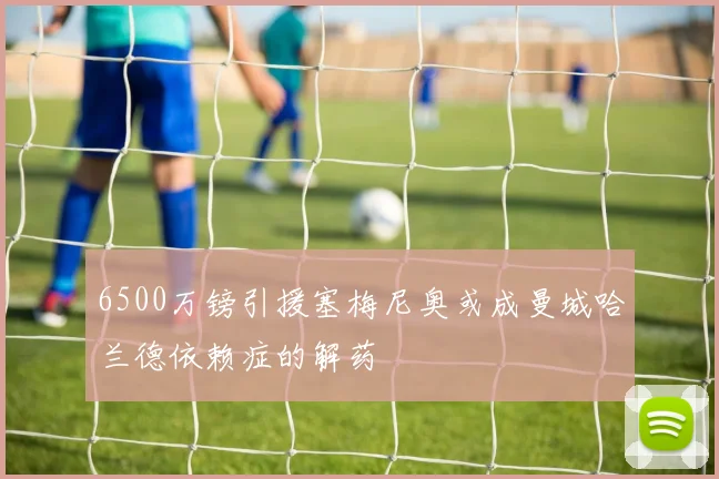 6500万镑引援塞梅尼奥或成曼城哈兰德依赖症的解药